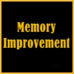 Logo of Memory Improvement android Application 